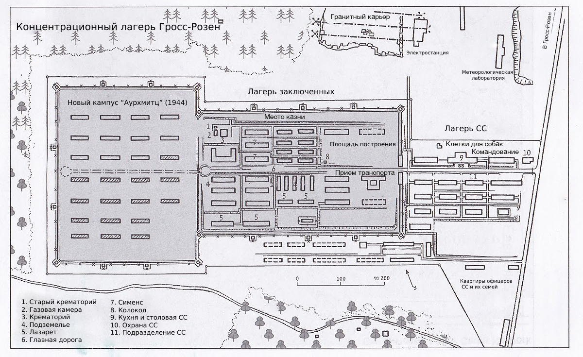 План лагеря Гросс-Розен